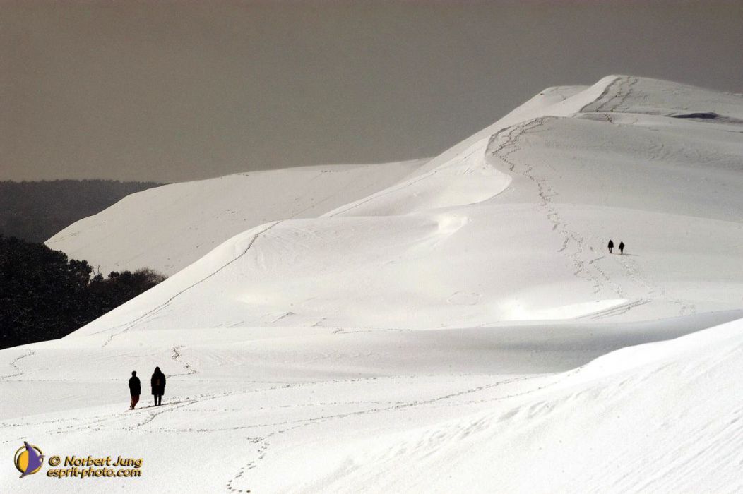 Nom de l'image : D1111950-nef-01_(c)Norbert-JUNG — Description :